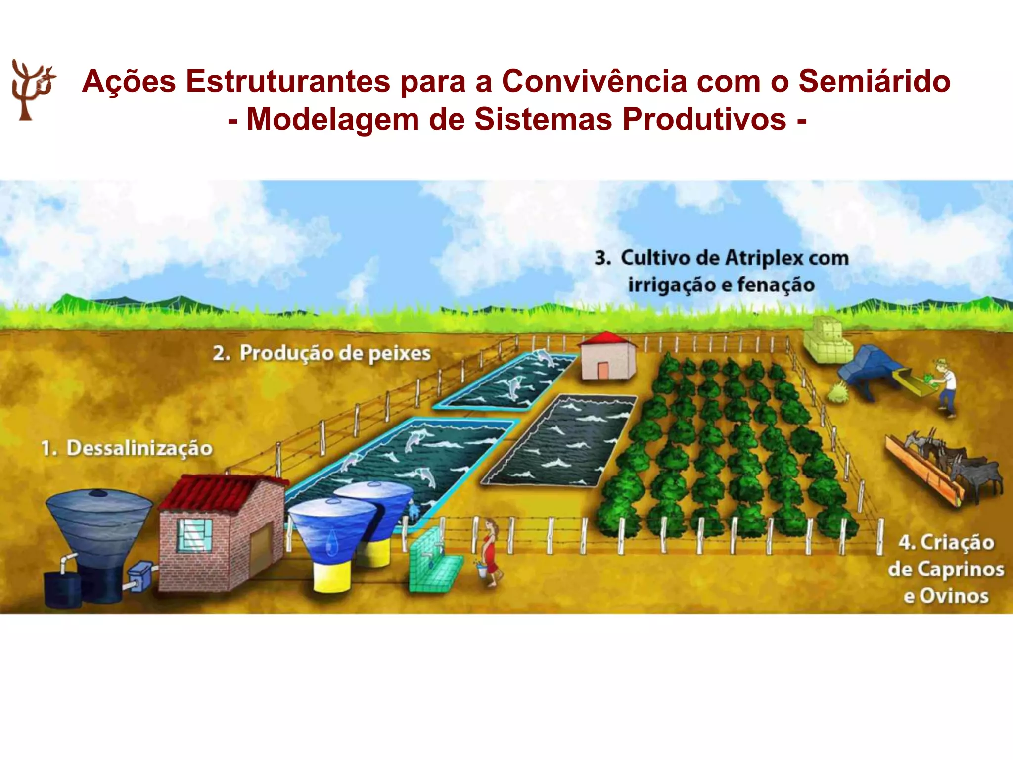 Ações Estruturantes para a Convivência com o Semiárido
- Modelagem de Sistemas Produtivos -