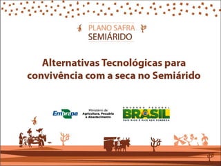 Alternativas Tecnológicas para
convivência com a seca no Semiárido
 