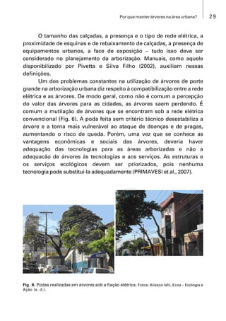 29Por que manter árvores na área urbana?
O tamanho das calçadas, a presença e o tipo de rede elétrica, a
proximidade de esquinas e de rebaixamento de calçadas, a presença de
equipamentos urbanos, a face de exposição  tudo isso deve ser
considerado no planejamento da arborização. Manuais, como aquele
disponibilizado por Pivetta e Silva Filho (2002), auxiliam nessas
definições.
Um dos problemas constantes na utilização de árvores de porte
grande na arborização urbana diz respeito à compatibilização entre a rede
elétrica e as árvores. De modo geral, como não é comum a percepção
do valor das árvores para as cidades, as árvores saem perdendo. É
comum a mutilação de árvores que se encontram sob a rede elétrica
convencional (Fig. 6). A poda feita sem critério técnico desestabiliza a
árvore e a torna mais vulnerável ao ataque de doenças e de pragas,
aumentando o risco de queda. Porém, uma vez que se conhece as
vantagens econômicas e sociais das árvores, deveria haver
adequação das tecnologias para as áreas arborizadas e não a
adequacão de árvores às tecnologias e aos serviços. As estruturas e
os serviços ecológicos devem ser priorizados, pois nenhuma
tecnologia pode substituí-la adequadamente (PRIMAVESI et al., 2007).
Fig. 6. Podas realizadas em árvores sob a fiação elétrica. Fotos: Alisson Ishi, Ecoa  Ecologia e
Ação (s. d.).
 