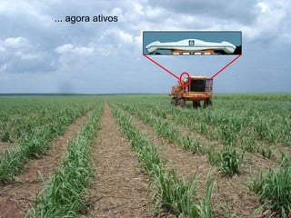 Prof. J. P. Molin 
... agora ativos 
 