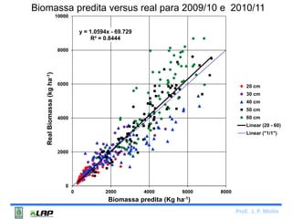 Biomassa predita versus real para 2009/10 e 2010/11 
Prof. J. P. Molin 
y = 1.0594x - 69.729 
R² = 0.8444 
10000 
8000 
6000 
4000 
2000 
0 
0 2000 4000 6000 8000 
Real Biomassa (kg ha-1) 
Biomassa predita (Kg ha-1) 
20 cm 
30 cm 
40 cm 
50 cm 
60 cm 
Linear (20 - 60) 
Linear ("1/1") 
 