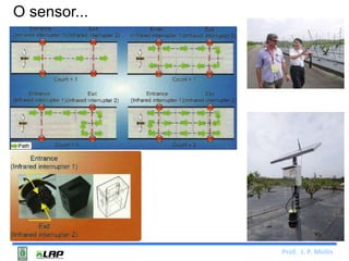 Prof. J. P. Molin 
O sensor... 
 