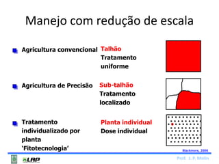 Manejo com redução de escala 
Prof. J. P. Molin 
Agricultura convencional Talhão 
Tratamento 
uniforme 
Agricultura de Precisão Sub-talhão 
Tratamento 
localizado 
Tratamento 
individualizado por 
planta 
‘Fitotecnologia’ 
Planta individual 
Dose individual 
Blackmore, 2006 
 