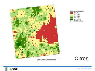 Citros 
Prof. J. P. Molin 
 