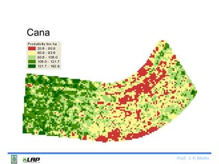 Prof. J. P. Molin 
Cana 
 