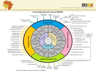 Embrapa Acre 
Embrapa Semi arid 
Embrapa Agricultural West 
Embrapa Agrosilvopastoral 
Embrapa Amapá 
Embrapa Western Amazon 
Embrapa Eastern Amazon 
Embrapa Livestock Southeast 
Embrapa Cerrados 
Embrapa Temperate Agriculture 
Embrapa Cocais 
Embrapa Mid North 
Embrapa Pantanal 
Embrapa Rondonia 
Embrapa Roraima 
Embrapa Coastal Tablelands 
Embrapa Semi arid 
Embrapa Technological Information 
Embrapa Poducts & Market 
Embrapa Coffee 
Embrapa Plant Quarantine 
Embrapa Land Management 
Embrapa Rice and Beans 
Embrapa Goats and Sheeps 
Embrapa Forestry 
Embrapa Beef Cattle 
Embrapa Dairy Cattle 
Embrapa Vegetables 
Embrapa Cassava and Tropical Fruits 
Embrapa Maize and Sorghum 
Embrapa Fisheries and Aquaculture 
Embrapa Soybean 
Embrapa Swine and Poultry 
Embrapa Wheat 
Embrapa Grapes and Wine 
Embrapa Cotton 
Embrapa Environment 
Embrapa Agrobiology 
Embrapa Agroenergy 
Embrapa Food Technology 
Embrapa Tropical Agroindustry 
Embrapa Studies and Training 
Embrapa Agricultural IT 
Embrapa Instruments 
Embrapa Satelite Monitoring 
Embrapa Genetic Resources and Biotechnology 
Embrapa Soils 
R&D Department 
Department of Technology Transfer 
Finance Management 
IT Department 
Human Resources Department 
Legal Advisory 
Communication Secretariat 
Strategic Management 
President Office 
International 
Business Secretariat 
Administration of Embrapa’s Biologic Station 
State and Supply Department 
Relations 
Secretariat 
Ecoregional Units 
National Product Centres 
National Thematic Units 
Services Units 
Executive Board Technology Transfer 
Board of 
Administration 
President 
Labex Programme 
Technical Cooperation 
USA 
Europe (France, UK, Germany) 
South America 
China 
Japan (Under construction) 
Africa (Ghana, Mozambique, Mali, Senegal) 
Latin America (Panama, Venezuela) 
Centres more related to this article 
Current Organisational Structure of EMBRAPA 
Source: Own elaboration based on evidence from EMBRAPA  