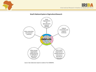 Federal universities and research institutes 
State universities and research institutes 
Other private organization related directly or indirectly to agriculture research 
Other public organizations related directly or indirectly to agricultural research 
State organizations for agricultureres research (OEPAS) 
EMBRAPA 
Brazil’s National System of Agricultural Research 
Source: Own elaboration based on evidence from EMBRAPA  