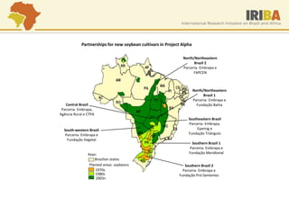 Southern Brazil 1 
Parceria- Embrapa e 
Fundação Meridional 
South-western Brazil Parceria- Embrapa e Fundação Vegetal 
North/Northeastern Brazil 2 Parceria- Embrapa e FAPCEN 
North/Northeastern Brazil 1 Parceria- Embrapa e Fundação Bahia 
Southeastern Brazil 
Parceria- Embrapa, Epamig e 
Fundação Triângulo 
Central Brazil Parceria- Embrapa, Agência Rural e CTPA 
Southern Brazil 2 Parceria- Embrapa e Fundação Pró-Sementes 
Keys: 
Brazilian states 
1970s 
1980s 
2003+ 
Planted areas- soybeans 
Partnerships for new soybean cultivars in Project Alpha  