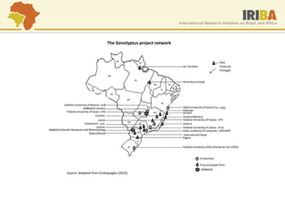 The Genolyptus project network 
Source: Adapted from Grattapaglia (2010).  