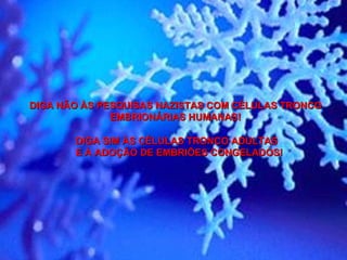 DIGA NÃO ÀS PESQUISAS NAZISTAS COM CÉLULAS TRONCO EMBRIONÁRIAS HUMANAS! DIGA SIM ÀS CÉLULAS TRONCO ADULTAS  E À ADOÇÃO DE EMBRIÕES CONGELADOS! 
