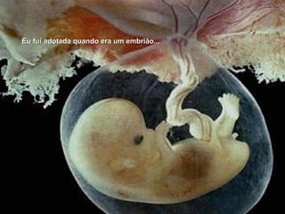 Eu fui adotada quando era um embrião... 