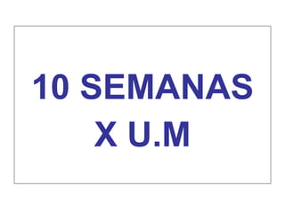 10 SEMANAS X U.M 