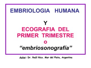 EMBRIOLOGIA  HUMANA  Y ECOGRAFIA  DEL PRIMER  TRIMESTRE o “embriosonografía” Autor : Dr. Raúl Nico. Mar del Plata, Argentina 