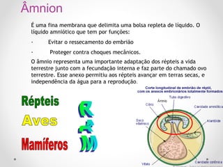 Âmnion
É uma fina membrana que delimita uma bolsa repleta de líquido. O
líquido amniótico que tem por funções:
·         Evitar o ressecamento do embrião
·         Proteger contra choques mecânicos.
O âmnio representa uma importante adaptação dos répteis a vida
terrestre junto com a fecundação interna e faz parte do chamado ovo
terrestre. Esse anexo permitiu aos répteis avançar em terras secas, e
independência da água para a reprodução.

 