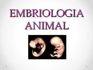 EMBRIOLOGIA
ANIMAL

 