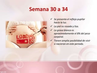 Semana 30 a 34
 Se presenta el reflejo pupilar
hacia la luz.
 La piel es rosada y lisa.
 La grasa blanca es
aproximadamente el 8% del peso
corporal.
 Tienen amplia posibilidad de vivir
si nacieran en este periodo.
 