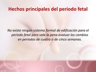 Hechos principales del periodo fetal
No existe ningún sistema formal de edificación para el
período fetal pero vale la pena evaluar los cambios
en períodos de cuatro o de cinco semanas.
 
