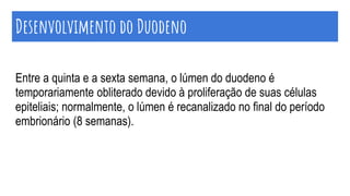 Entre a quinta e a sexta semana, o lúmen do duodeno é
temporariamente obliterado devido à proliferação de suas células
epiteliais; normalmente, o lúmen é recanalizado no final do período
embrionário (8 semanas).
Desenvolvimento do Duodeno
 