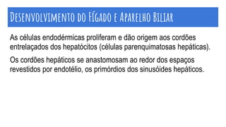 As células endodérmicas proliferam e dão origem aos cordões
entrelaçados dos hepatócitos (células parenquimatosas hepáticas).
Os cordões hepáticos se anastomosam ao redor dos espaços
revestidos por endotélio, os primórdios dos sinusóides hepáticos.
Desenvolvimento do Fígado e Aparelho Biliar
 