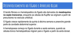 O tecido fibroso e o hematopoético do fígado são derivados do mesênquima
no septo transverso, enquanto as células de Kupffer se originam a partir de
precursores na vesícula umbilical.
O fígado cresce rapidamente da quinta à décima semana e preenche grande
parte da cavidade abdominal superior .
A hematopoese começa no fígado durante a sexta semana, quando as
células-tronco hematopoéticas migram para o fígado a partir da aorta dorsal.
Desenvolvimento do Fígado e Aparelho Biliar
 