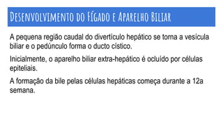 Desenvolvimento do Fígado e Aparelho Biliar
A pequena região caudal do divertículo hepático se torna a vesícula
biliar e o pedúnculo forma o ducto cístico.
Inicialmente, o aparelho biliar extra-hepático é ocluído por células
epiteliais.
A formação da bile pelas células hepáticas começa durante a 12a
semana.
 