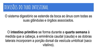 DIVISÕES DO TUBO INTESTINAL
O sistema digestório se estende da boca ao ânus com todas as
suas glândulas e órgãos associados.
O intestino primitivo se forma durante a quarta semana à
medida que a cabeça, a eminência caudal (cauda) e as dobras
laterais incorporam a porção dorsal da vesícula umbilical (saco
vitelino).
 
