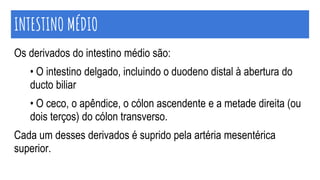 Os derivados do intestino médio são:
• O intestino delgado, incluindo o duodeno distal à abertura do
ducto biliar
• O ceco, o apêndice, o cólon ascendente e a metade direita (ou
dois terços) do cólon transverso.
Cada um desses derivados é suprido pela artéria mesentérica
superior.
INTESTINO MÉDIO
 