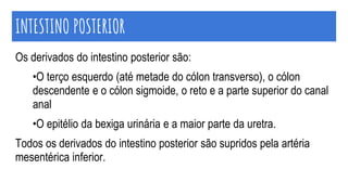 INTESTINO POSTERIOR
Os derivados do intestino posterior são:
•O terço esquerdo (até metade do cólon transverso), o cólon
descendente e o cólon sigmoide, o reto e a parte superior do canal
anal
•O epitélio da bexiga urinária e a maior parte da uretra.
Todos os derivados do intestino posterior são supridos pela artéria
mesentérica inferior.
 