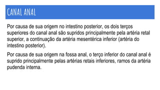 Por causa de sua origem no intestino posterior, os dois terços
superiores do canal anal são supridos principalmente pela artéria retal
superior, a continuação da artéria mesentérica inferior (artéria do
intestino posterior).
Por causa de sua origem na fossa anal, o terço inferior do canal anal é
suprido principalmente pelas artérias retais inferiores, ramos da artéria
pudenda interna.
CANAL ANAL
 