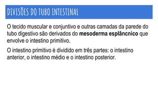 DIVISÕES DO TUBO INTESTINAL
O tecido muscular e conjuntivo e outras camadas da parede do
tubo digestivo são derivados do mesoderma esplâncnico que
envolve o intestino primitivo.
O intestino primitivo é dividido em três partes: o intestino
anterior, o intestino médio e o intestino posterior.
 