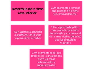 Desarrollo de la vena
cava inferior:
2.Un segmento prerrenal
que procede de la vena
subcardinal derecha.
4.Un segmento posrenal
que procede de la vena
supracardinal derecha.
1.Un segmento hepático
que procede de la vena
hepática (la parte proximal
de la vena vitelina derecha)
y de los sinusoides
hepáticos
3.Un segmento renal que
procede de la anastomosis
entre las venas
subcardinales y
supracardinales.
 