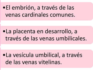 •El embrión, a través de las
venas cardinales comunes.
•La placenta en desarrollo, a
través de las venas umbilicales.
•La vesícula umbilical, a través
de las venas vitelinas.
 