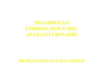 DESARROLLO EMBRIOLOGICO DEL APARATO URINARIO DR SEGUNDO GUZMAN PEREZ 