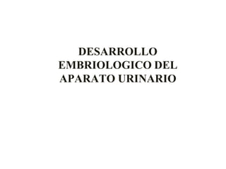 DESARROLLO
EMBRIOLOGICO DEL
APARATO URINARIO
 