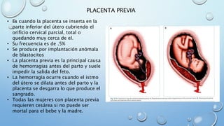 PLACENTA PREVIA
• Es cuando la placenta se inserta en la
parte inferior del útero cubriendo el
orificio cervical parcial, total o
quedando muy cerca de el.
• Su frecuencia es de .5%
• Se produce por implantación anómala
de blastocitos
• La placenta previa es la principal causa
de hemorragias antes del parto y suele
impedir la salida del feto.
• La hemorragia ocurre cuando el istmo
del útero se dilata antes del parto y la
placenta se desgarra lo que produce el
sangrado.
• Todas las mujeres con placenta previa
requieren cesárea si no puede ser
mortal para el bebe y la madre.
 