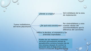 Tumor trofoblástico
del lecho placentario
¿Dónde se origina? Del trofoblasto de la zona
de implantación
¿De qué está constituido?
Por citotrofoblasto y unas
cuantas células del
sincitiotrofoblasto que lo
diferencia del carcinoma
Infiltra la decidua, el miometrio y las
arteriolas espiraladas
Pueden dar por metástasis y presentan
secreción anormalmente elevada de
gonadotrofina coriónica humana más de
seis semanas después de concluir la
gestación (para el diagnóstico y para
conocer la evolución de la enfermedad)
 