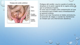 Prolapso del cordón: ocurro cuando el cordón se
desplaza en la parte vaginal de la vagina antes de
que se produzca el parto.
En este caso el cordón sufre comprensión así que
es necesario que el bebe nazca inmediatamente
en general cesárea.
Ocurre con mas frecuencia en bebes prematuros,
en posición de nalgas o cuando las membranas
se rompen por una intervención obstétrica
 