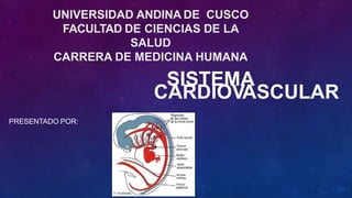 PRESENTADO POR:
UNIVERSIDAD ANDINA DE CUSCO
FACULTAD DE CIENCIAS DE LA
SALUD
CARRERA DE MEDICINA HUMANA
SISTEMA
CARDIOVASCULAR
 