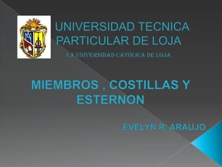        UNIVERSIDAD TECNICA       PARTICULAR DE LOJALa Universidad Católica de Loja MIEMBROS , COSTILLAS Y ESTERNON EVELYN R. ARAUJO 
