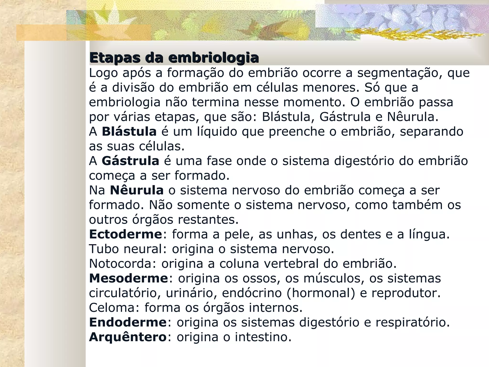 Etapas da embriologia
Logo após a formação do embrião ocorre a segmentação, que
é a divisão do embrião em células menores. Só que a
embriologia não termina nesse momento. O embrião passa
por várias etapas, que são: Blástula, Gástrula e Nêurula.
A Blástula é um líquido que preenche o embrião, separando
as suas células.
A Gástrula é uma fase onde o sistema digestório do embrião
começa a ser formado.
Na Nêurula o sistema nervoso do embrião começa a ser
formado. Não somente o sistema nervoso, como também os
outros órgãos restantes.
Ectoderme: forma a pele, as unhas, os dentes e a língua.
Tubo neural: origina o sistema nervoso.
Notocorda: origina a coluna vertebral do embrião.
Mesoderme: origina os ossos, os músculos, os sistemas
circulatório, urinário, endócrino (hormonal) e reprodutor.
Celoma: forma os órgãos internos.
Endoderme: origina os sistemas digestório e respiratório.
Arquêntero: origina o intestino.
 