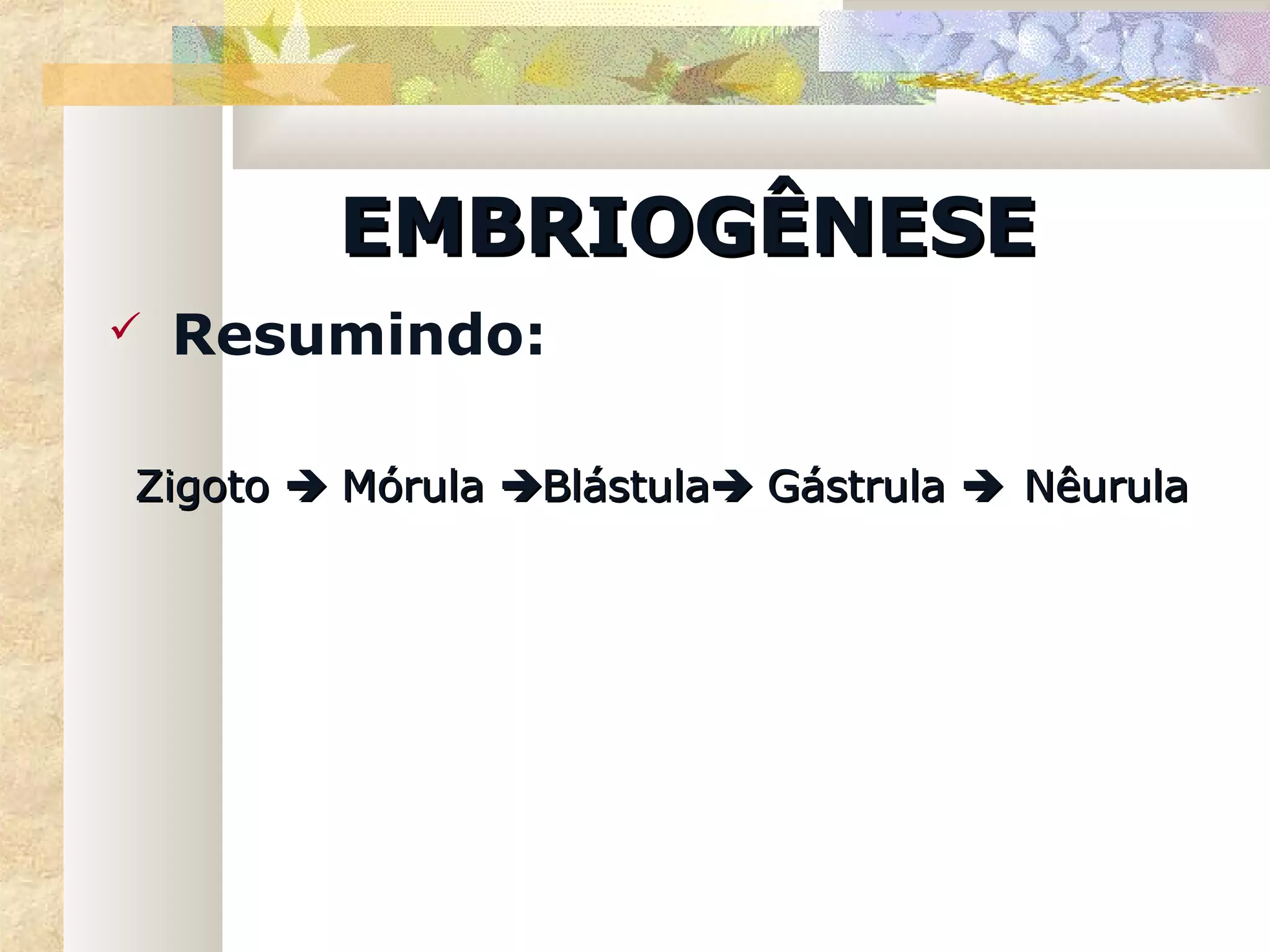 EMBRIOGÊNESE
   Resumindo:

Zigoto  Mórula Blástula Gástrula  Nêurula
 