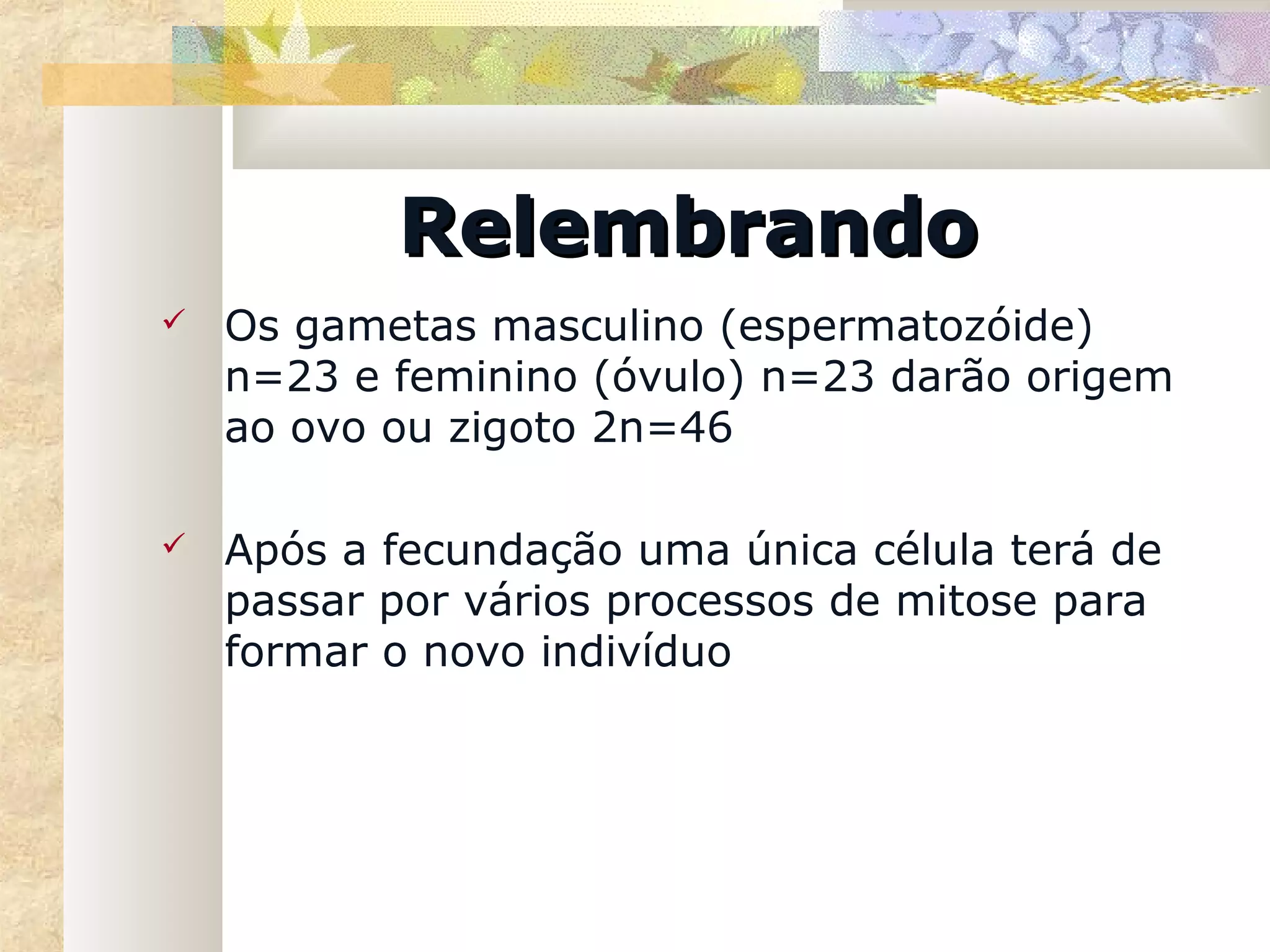 Relembrando
   Os gametas masculino (espermatozóide)
    n=23 e feminino (óvulo) n=23 darão origem
    ao ovo ou zigoto 2n=46

   Após a fecundação uma única célula terá de
    passar por vários processos de mitose para
    formar o novo indivíduo
 