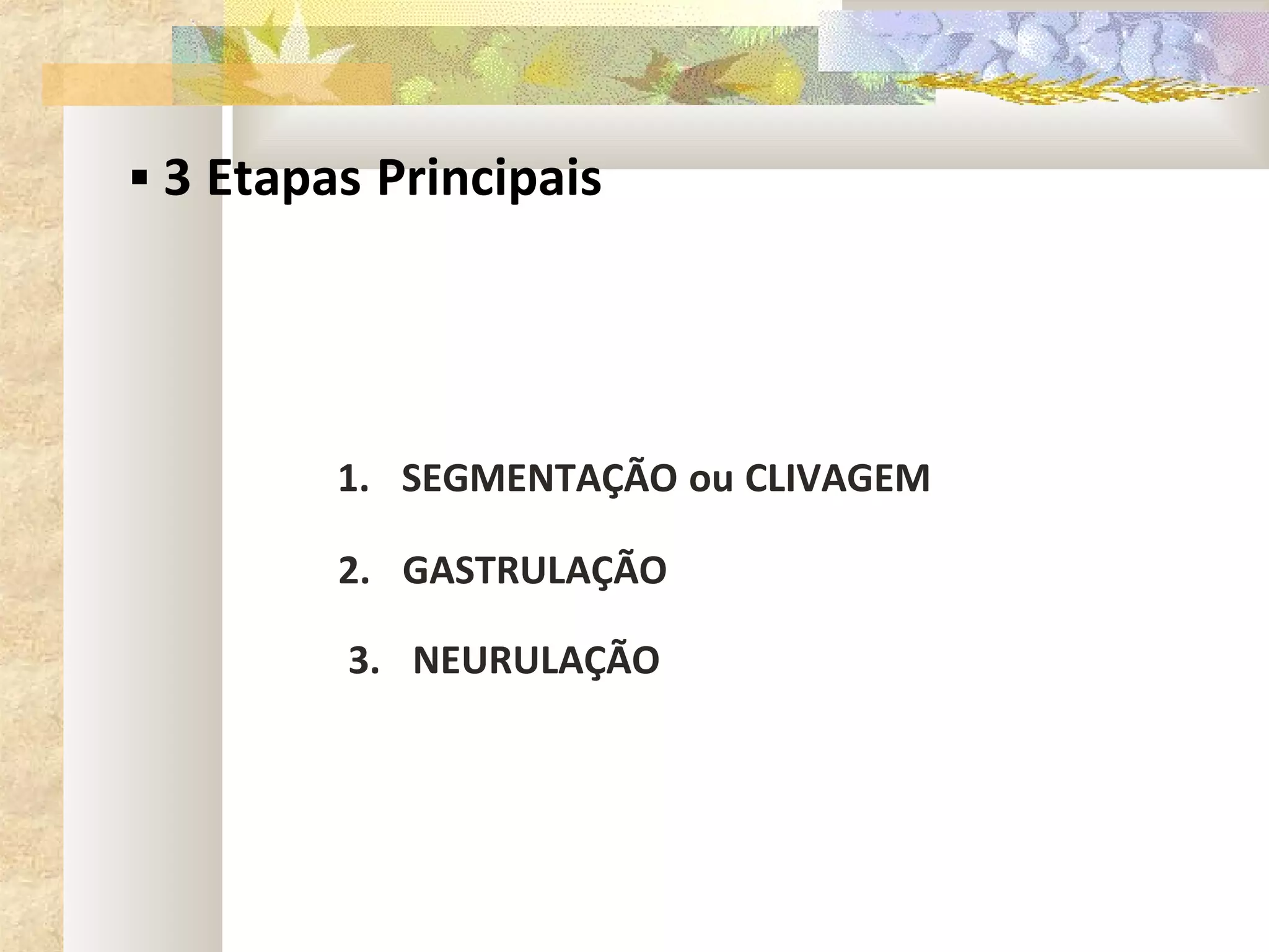  3 Etapas Principais




         1. SEGMENTAÇÃO ou CLIVAGEM

         2. GASTRULAÇÃO

         3. NEURULAÇÃO
 