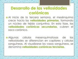Desarrollo de las vellosidades
coriónicas
 Al

inicio de la tercera semana, el mesénquima
crece hacia las vellosidades primarias, formando
un núcleo de tejido conjuntivo. En esta fase, las
vellosidades coriónicas secundarias, cubren el
saco coriónico.

 Algunas

células
mesenquimatosas
de
las
vellosidades se diferencian en capilares y células
sanguíneas. Al visualizarse los vasos sanguíneos, se
denomina vellosidades coriónicas terciarias.

 