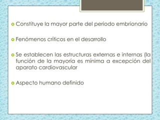  Constituye

la mayor parte del periodo embrionario

 Fenómenos

críticos en el desarrollo

 Se

establecen las estructuras externas e internas (la
función de la mayoría es mínima a excepción del
aparato cardiovascular

 Aspecto

humano definido

 