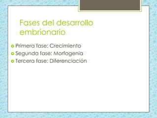 Fases del desarrollo
embrionario
 Primera

fase: Crecimiento
 Segunda fase: Morfogenia
 Tercera fase: Diferenciación

 