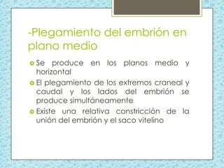 -Plegamiento del embrión en
plano medio
 Se

produce en los planos medio y
horizontal
 El plegamiento de los extremos craneal y
caudal y los lados del embrión se
produce simultáneamente
 Existe una relativa constricción de la
unión del embrión y el saco vitelino

 