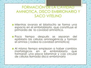 FORMACIÓN DE LA CAVIDAD
AMNIOTICA, DISCO EMBRIONARIO Y
SACO VITELINO


Mientras avanza el blastocito se forma una
espacio en el embrioblasto, que constituye el
primordio de la cavidad amniótica.



Poco tiempo después se separan del
epiblasto las células amniogénicas y forman
el amnios ( rodea la cavidad amniótica)



Al mismo tiempo empiezan a haber cambios
morfológicos en el embrioblasto que
formaran una placa bilaminar y casi circular
de células llamada disco embrionario

 