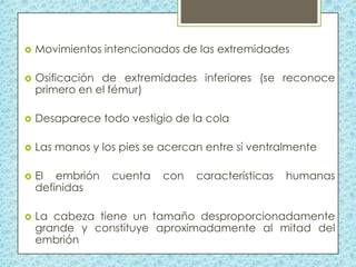 

Movimientos intencionados de las extremidades



Osificación de extremidades inferiores (se reconoce
primero en el fémur)



Desaparece todo vestigio de la cola



Las manos y los pies se acercan entre sí ventralmente



El embrión
definidas



La cabeza tiene un tamaño desproporcionadamente
grande y constituye aproximadamente al mitad del
embrión

cuenta

con

características

humanas

 