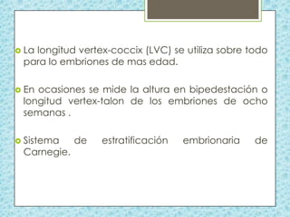  La

longitud vertex-coccix (LVC) se utiliza sobre todo
para lo embriones de mas edad.

 En

ocasiones se mide la altura en bipedestación o
longitud vertex-talon de los embriones de ocho
semanas .

 Sistema

Carnegie.

de

estratificación

embrionaria

de

 